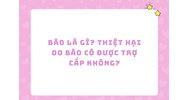 Bão là gì? Thiệt hại do bão có được trợ cấp không?