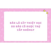 Bão là gì? Thiệt hại do bão có được trợ cấp không?