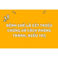 Bệnh ghẻ là gì? Triệu chứng và cách phòng tránh, điều trị