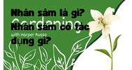 Nhân sâm là gì? Nhân sâm có tác dụng gì?