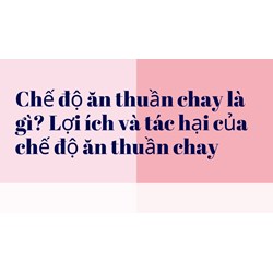 Chế độ ăn thuần chay là gì? Lợi ích và tác hại của chế độ ăn thuần chay