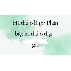 Hà thủ ô là gì? Phân biệt hà thủ ô thật - giả