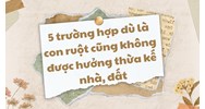 5 trường hợp dù là con ruột cũng không được hưởng thừa kế nhà, đất