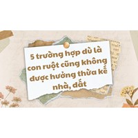 5 trường hợp dù là con ruột cũng không được hưởng thừa kế nhà, đất