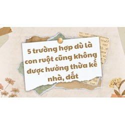 5 trường hợp dù là con ruột cũng không được hưởng thừa kế nhà, đất