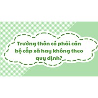 Trưởng thôn có phải cán bộ cấp xã hay không theo quy định?