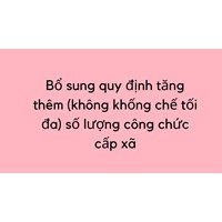Bổ sung quy định tăng thêm (không khống chế tối đa) số lượng công chức cấp xã