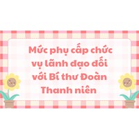Mức phụ cấp chức vụ lãnh đạo đối với Bí thư Đoàn Thanh niên