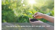 Tổng hợp bài tập trắc nghiệm Sinh học lớp 11 mới nhất