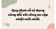Quy định về sử dụng súng đối với công an cập nhật mới nhất