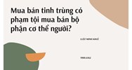 Mua bán tinh trùng có phạm tội mua bán bộ phận cơ thể người?