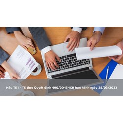 Mẫu Quyết định 490/QĐ-BHXH mới nhất (Mẫu TK1 - TS)
