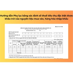 Hướng dẫn Phụ lục bảng xác định số thuế tiêu thụ đặc biệt được khấu trừ của nguyên liệu mua vào, hàng hóa nhập khẩu