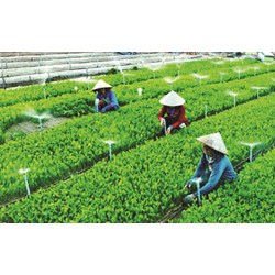 Các quyền, nghĩa vụ của hợp tác xã, liên hiệp hợp tác xã?