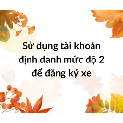Sử dụng tài khoản định danh mức độ 2 để đăng ký xe