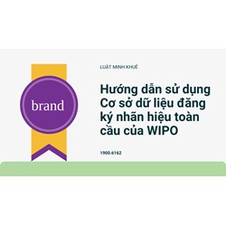 Hướng dẫn sử dụng Cơ sở dữ liệu đăng ký nhãn hiệu toàn cầu của WIPO