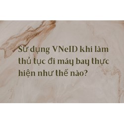 Sử dụng VNeID khi làm thủ tục đi máy bay thực hiện như thế nào?