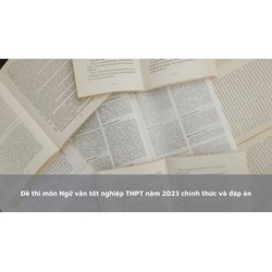 Đề thi môn Ngữ văn tốt nghiệp THPT chính thức và đáp án