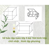Vở bài tập Toán lớp 5 bài 104 Hình hộp chữ nhật. Hình lập phương
