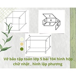 Vở bài tập Toán lớp 5 bài 104 Hình hộp chữ nhật. Hình lập phương