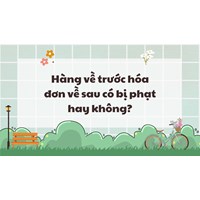 Hàng về trước hóa đơn về sau có bị phạt hay không?