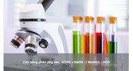 Cân bằng phản ứng sau: Al2O3 + NaOH → NaAlO2 + H2O