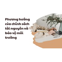 Phương hướng của chính sách tài nguyên và bảo vệ môi trường