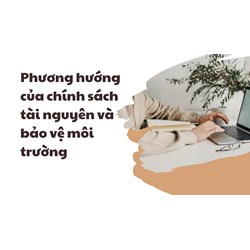 Phương hướng của chính sách tài nguyên và bảo vệ môi trường