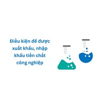 Điều kiện để được xuất khẩu, nhập khẩu tiền chất công nghiệp