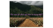 Khi nào thì phải gia hạn sử dụng đất?