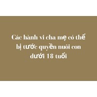 Các hành vi cha mẹ có thể bị tước quyền nuôi con dưới 18 tuổi