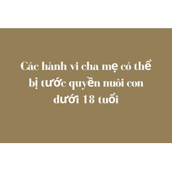 Các hành vi cha mẹ có thể bị tước quyền nuôi con dưới 18 tuổi