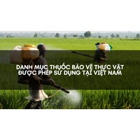 Danh mục thuốc bảo vệ thực vật được phép sử dụng tại Việt Nam