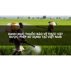 Danh mục thuốc bảo vệ thực vật được phép sử dụng tại Việt Nam