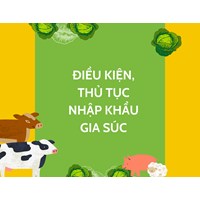 Điều kiện thủ tục nhập khẩu gia súc về Việt Nam