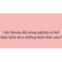 Việc khoán đất nông nghiệp có thể thực hiện theo những hình thức nào?
