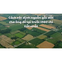 Cách xác định nguồn gốc đất cha ông để lại trước 1980 chi tiết nhất