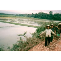 Căn cứ công nhận diện tích đất ở đối với đất sử dụng trước 1975
