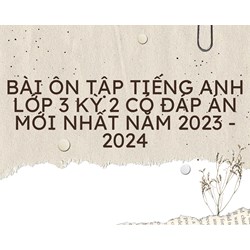 Bài ôn tập tiếng Anh lớp 3 học kì 2 có đáp án mới nhất