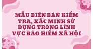 Mẫu Biên bản kiểm tra, xác minh sử dụng trong lĩnh vực bảo hiểm xã hội