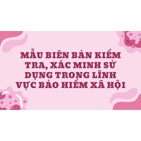 Mẫu Biên bản kiểm tra, xác minh sử dụng trong lĩnh vực bảo hiểm xã hội