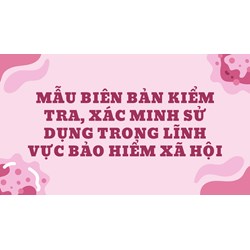 Mẫu Biên bản kiểm tra, xác minh sử dụng trong lĩnh vực bảo hiểm xã hội