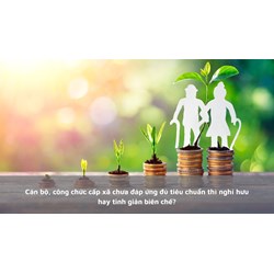 Cán bộ, công chức cấp xã chưa đáp ứng đủ tiêu chuẩn thì nghỉ hưu hay tinh giản biên chế?