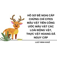 Hồ sơ đề nghị cấp chứng chỉ CITES mẫu vật tiền Công ước mẫu vật các loài động vật, thực vật hoang dã nguy cấp