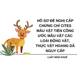 Hồ sơ đề nghị cấp chứng chỉ CITES mẫu vật tiền Công ước mẫu vật các loài động vật, thực vật hoang dã nguy cấp