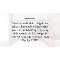 Điều kiện xuất khẩu, nhập khẩu, tái xuất khẩu mẫu vật nuôi sinh sản, nuôi sinh trưởng, trồng cấy nhân tạo của các loài động vật, thực vật hoang dã nguy cấp thuộc Phụ lục CITES