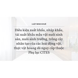 Điều kiện xuất khẩu, nhập khẩu, tái xuất khẩu mẫu vật nuôi sinh sản, nuôi sinh trưởng, trồng cấy nhân tạo của các loài động vật, thực vật hoang dã nguy cấp thuộc Phụ lục CITES