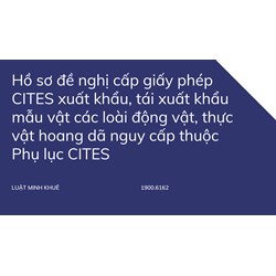Hồ sơ đề nghị cấp giấy phép CITES xuất khẩu, tái xuất khẩu mẫu vật các loài động vật, thực vật hoang dã nguy cấp thuộc Phụ lục CITES