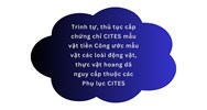 Trình tự, thủ tục cấp chứng chỉ CITES mẫu vật tiền Công ước mẫu vật các loài động vật, thực vật hoang dã nguy cấp thuộc các Phụ lục CITES