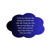 Trình tự, thủ tục cấp chứng chỉ CITES mẫu vật tiền Công ước mẫu vật các loài động vật, thực vật hoang dã nguy cấp thuộc các Phụ lục CITES
